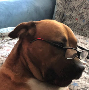 Meet your Posher, Lance